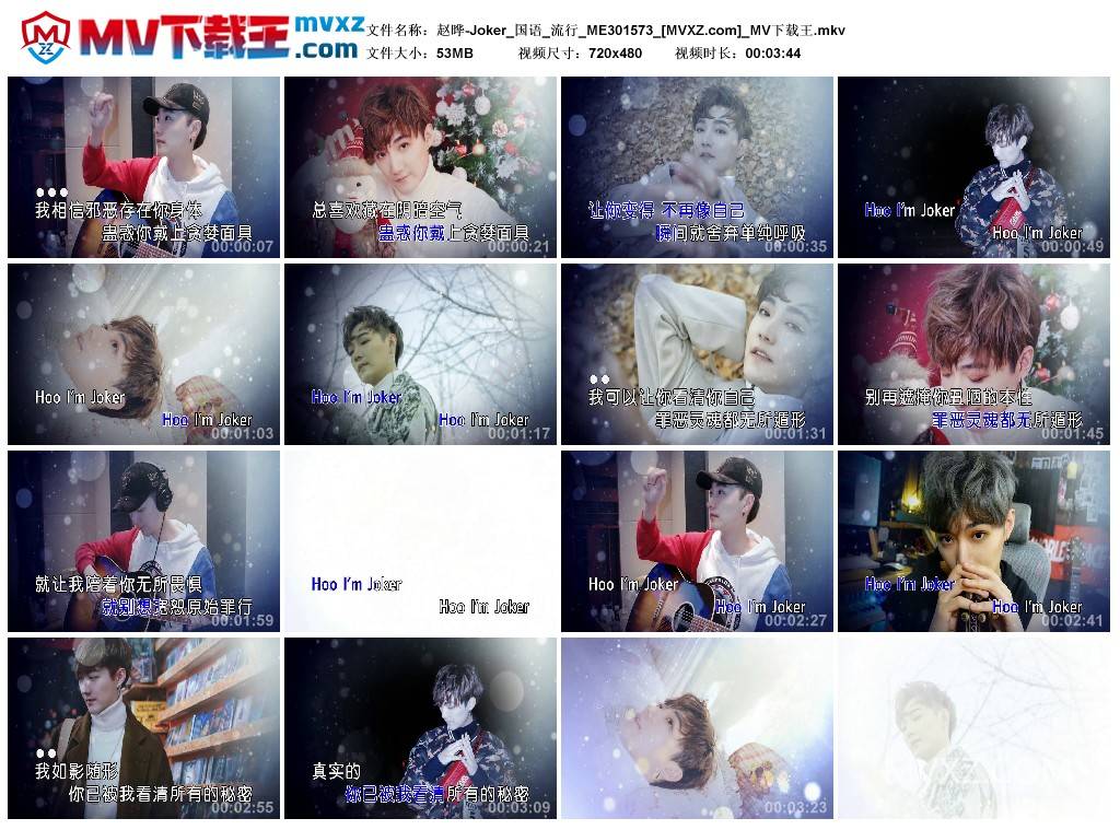 赵晔-Joker_国语_流行_ME301573